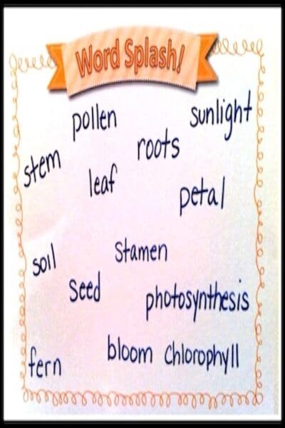 Vocabulary Practice Fun!