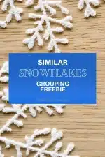Winter Student Grouping Ideas