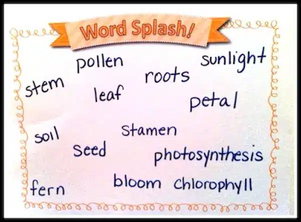 Teaching Vocabulary Tip