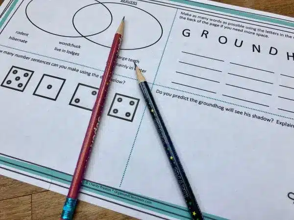 Groundhog Day Activity Mat