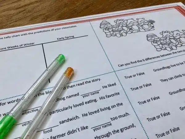 Groundhog Day Activity Mat