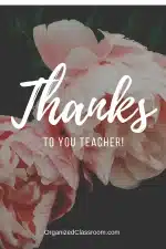 Teacher Appreciation Ideas