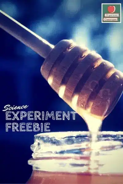 Science Experiment with Food