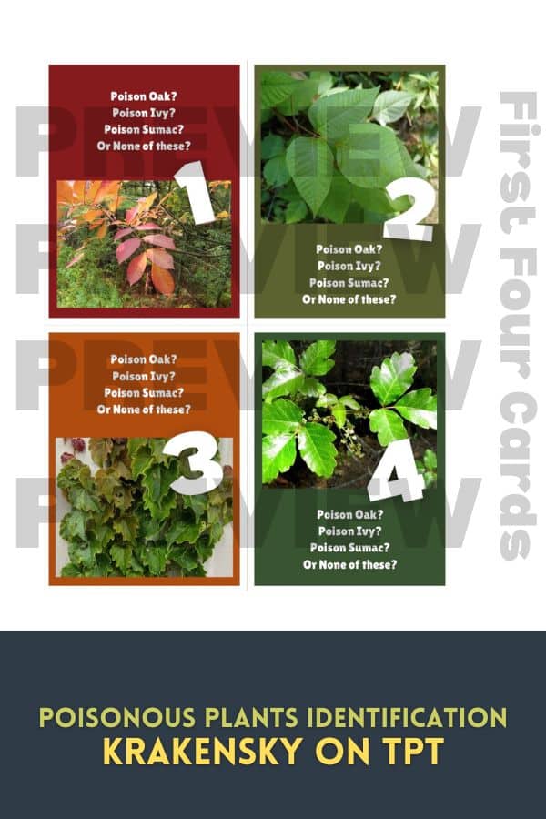Looking for an easy, classroom-ready way to teach your students about poisonous plants? I’ve got a freebie you’ll love! These Poisonous Plant Identification Task Cards make it super simple to introduce plant safety without any extra prep!