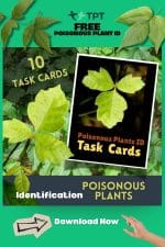 Spot Poisonous Plants with Free Task Cards