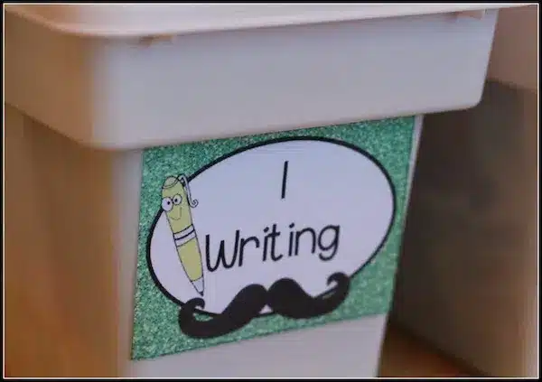 Classroom Library Organization System