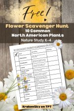 Free Flower Scavenger Hunt: Explore 10 Common North American Flowers