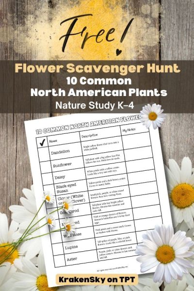 This free flower scavenger hunt printable introduces students to 10 common North American flowers using simple descriptions and space for observation. It’s designed to be low-prep, flexible, and easy to use, whether you’re teaching in a classroom, homeschool setting, or outdoor learning environment.