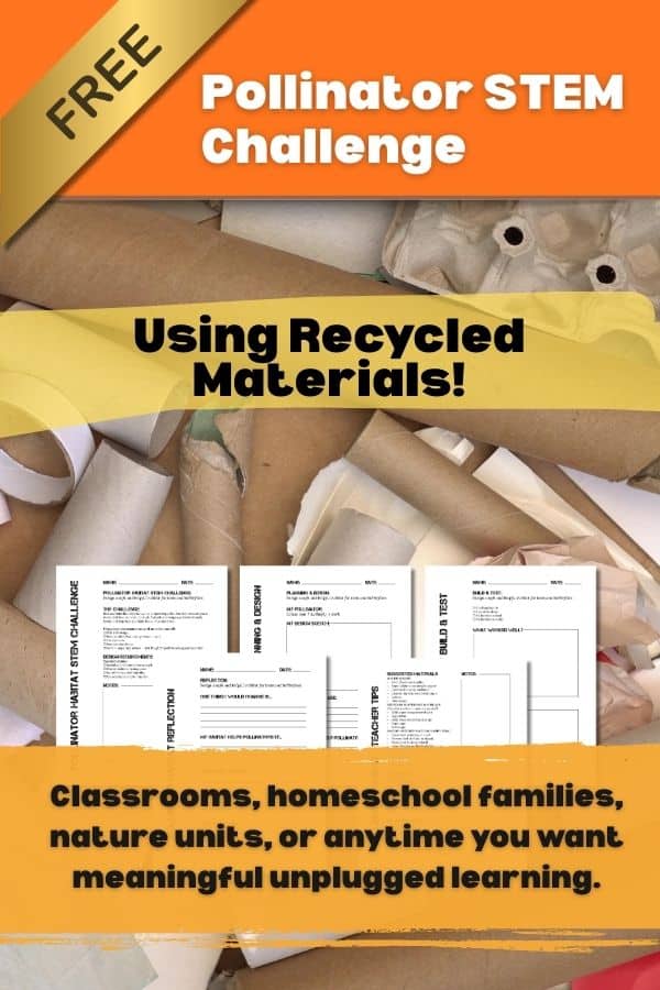 In this activity, students are given a real-world problem:
How can we design a safe and helpful habitat for bees and butterflies?
Using simple classroom or recycled materials, students:
Plan a pollinator habitat
Design and build a model
Test their ideas
Reflect and improve their design
There’s no single right answer, which makes this activity perfect