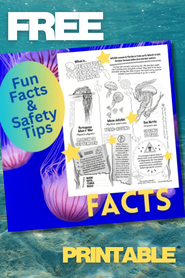 Whether you’re planning a beach day, a nature walk, or a class discussion about ocean life, this post will help you understand when jellyfish are most common and how to stay safe.