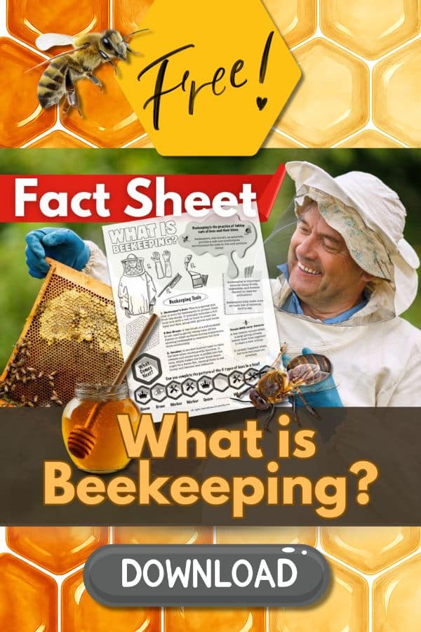 Looking for a fun, no-prep science activity to share with your students? This Free Beekeeping Printable is a perfect match! It’s simple to use — print and hand out — and offers young learners a hands-on way to explore pollinators, nature, and the vital role bees play in our world.