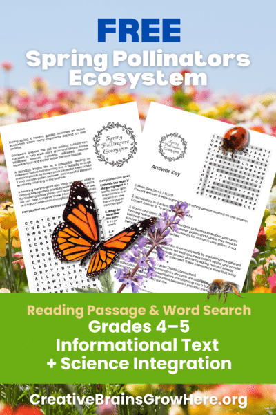 Free Spring Pollinators reading passage with comprehension questions & word search. Perfect for Earth Day, ecosystems, and pollinator lessons (Grades 4–5).