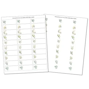 Organize Your Teacher Files