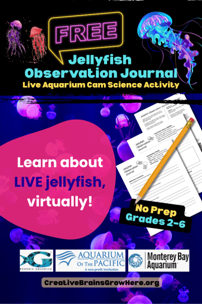 Explore this engaging educational printable for kids featuring hands-on learning, science, creativity, and interactive activities for classrooms, homeschool, camps, and family learning. Low-prep fun aligned with CCSS and NGSS standards.