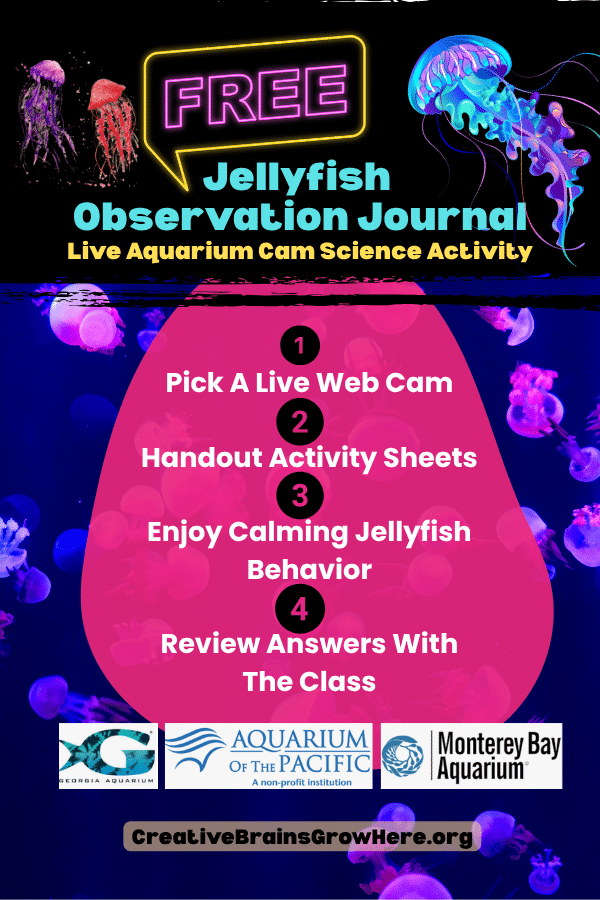 Explore this engaging educational printable for kids featuring hands-on learning, science, creativity, and interactive activities for classrooms, homeschool, camps, and family learning. Low-prep fun aligned with CCSS and NGSS standards.