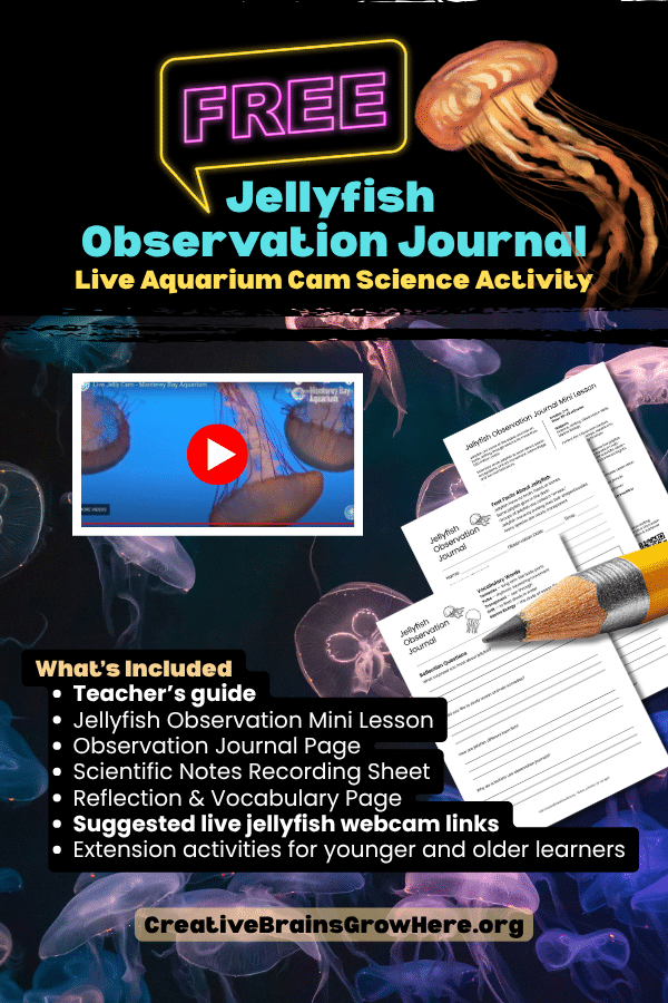 Explore this engaging educational printable for kids featuring hands-on learning, science, creativity, and interactive activities for classrooms, homeschool, camps, and family learning. Low-prep fun aligned with CCSS and NGSS standards.