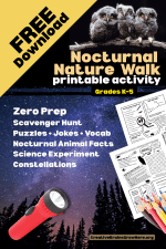 Explore the Night: Free Nocturnal Animal Nature Walk Printable for Kids