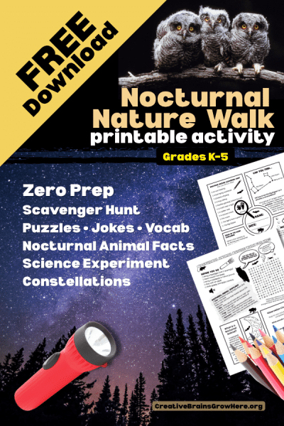 This FREE Nocturnal Animal Nature Walk Printable is the perfect outdoor adventure for summer camps, homeschool families, scout groups, nature centers, and elementary classrooms!