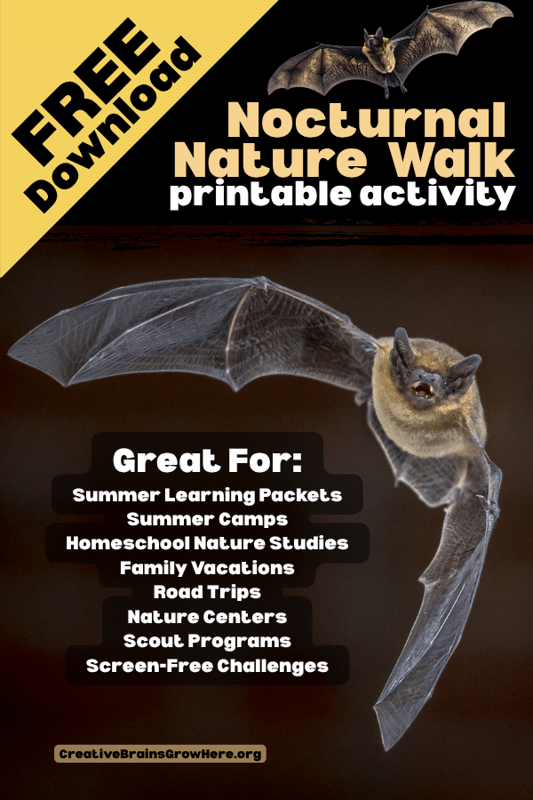 Download Your Free Nocturnal Animal Nature Walk Printable
If you're looking for a meaningful screen-free activity that encourages curiosity, outdoor exploration, and hands-on learning, this free printable is a great place to start.
Nature doesn't go to sleep when the sun goes down—and now kids can discover the amazing world that comes alive after dark.
Happy exploring!