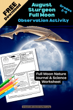 Free August Sturgeon Moon Observation Printable for Kids | Back-to-School Nature Science Activity