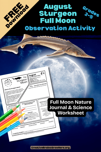 Free August Sturgeon Moon Observation Activity | Printable Nature Journal Page | Summer Science for Kids