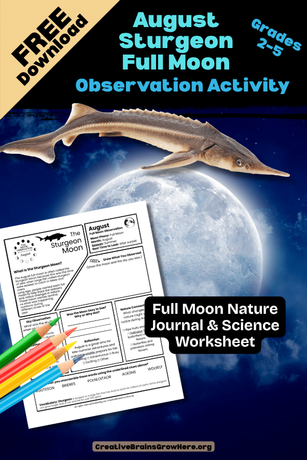 Free August Sturgeon Moon Observation Printable for Kids | Back-to-School Nature Science Activity