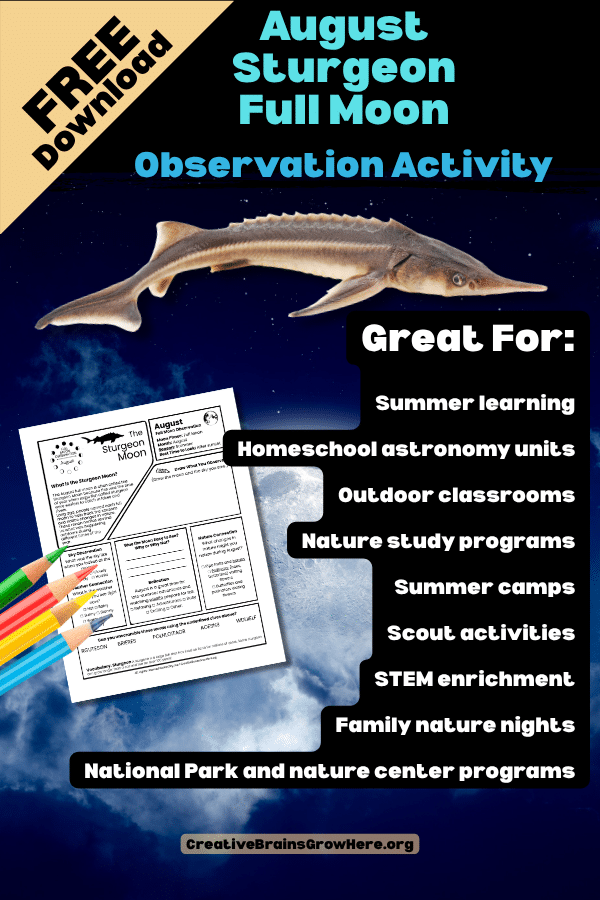 Free August Sturgeon Moon Observation Printable for Kids | Back-to-School Nature Science Activity