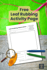 New Free Nature Printable: Leaf Rubbing Observation Activity for Kids