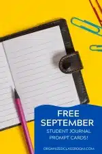 September Owl Morning Journal Cards