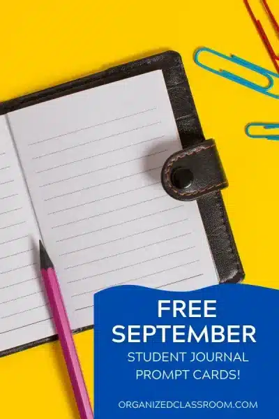 September Owl Morning Journal Cards